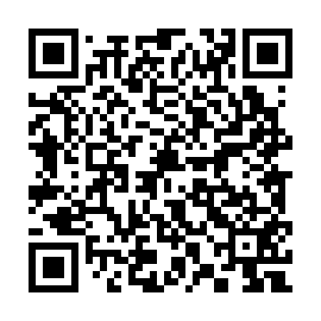 QR code for 38L351