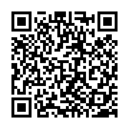 QR code for 38M458