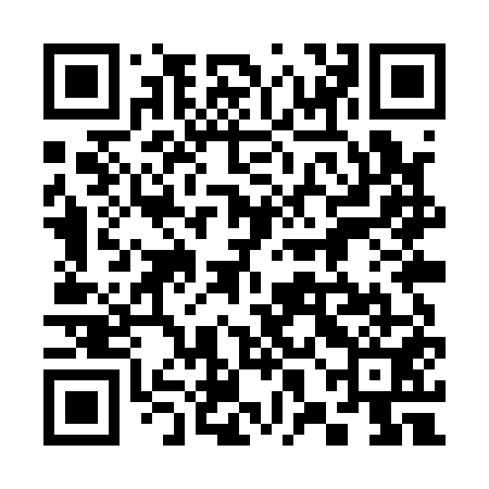 QR code for 38MQ51