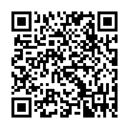 QR code for 38N133