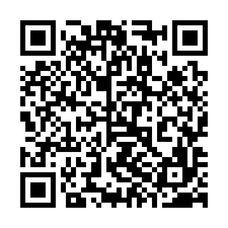 QR code for 38O396