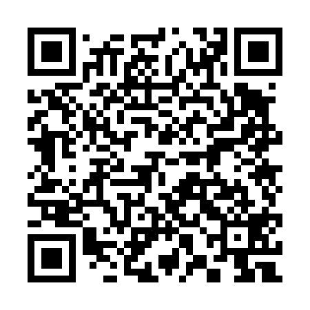 QR code for 38O419