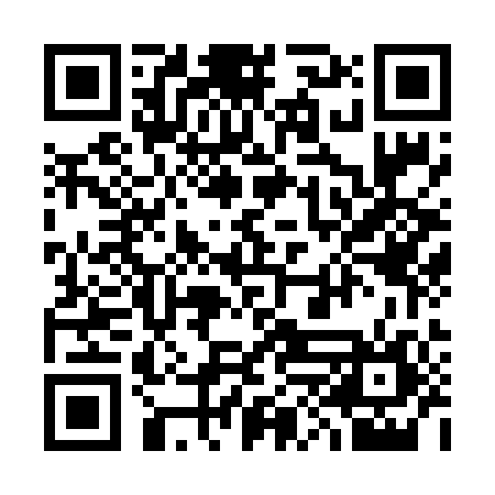QR code for 38O606