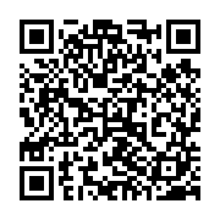 QR code for 38O641