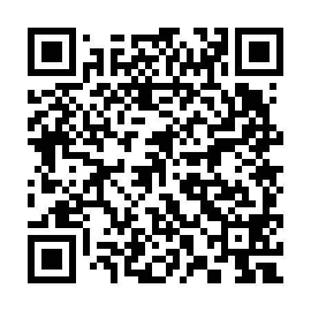 QR code for 38O698