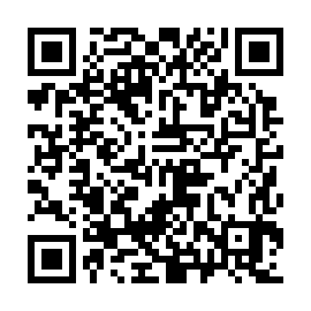 QR code for 38P383