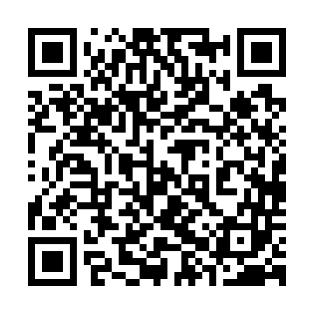 QR code for 38P743