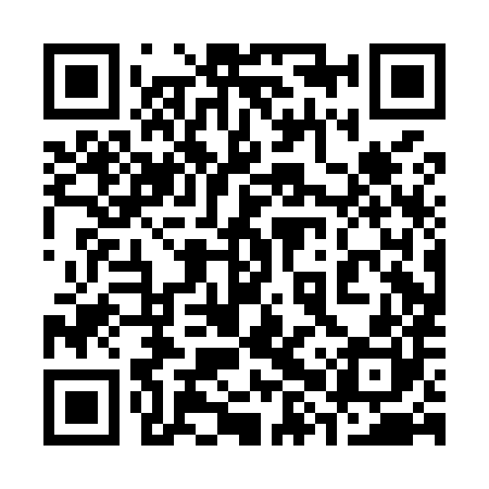 QR code for 38PM80