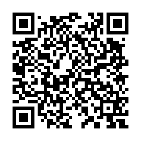 QR code for 38Q461