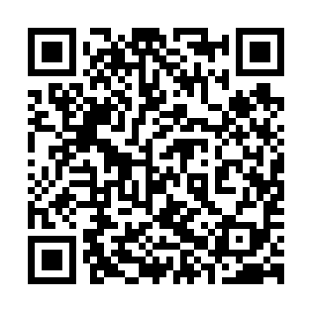 QR code for 38Q699