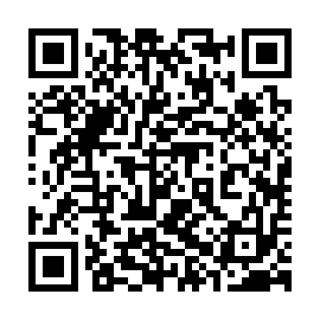 QR code for 38R313
