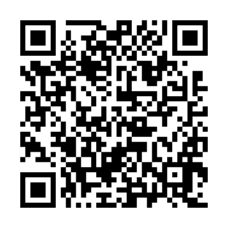 QR code for 38SF96