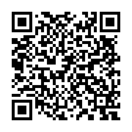 QR code for 38SN93