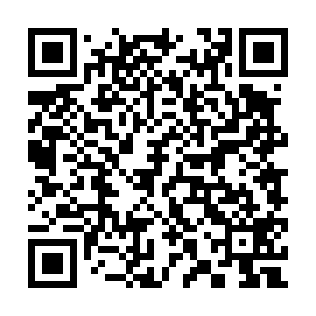 QR code for 38T419