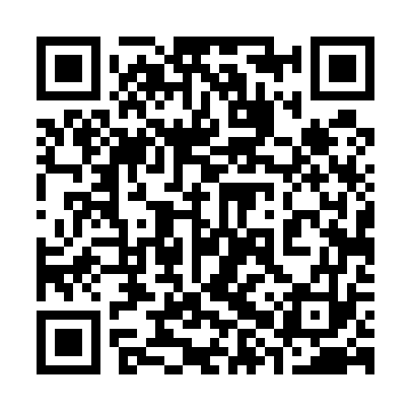 QR code for 38T573