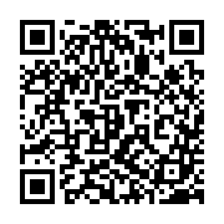 QR code for 38V343