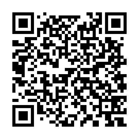 QR code for 38V579