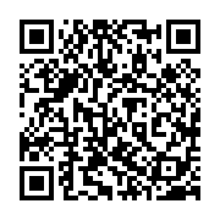 QR code for 38X019