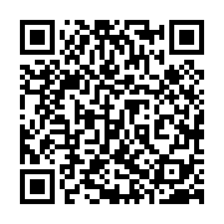 QR code for 38X079