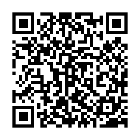 QR code for 38X475