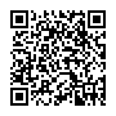 QR code for 38X547