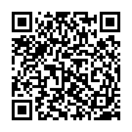 QR code for 38YG53