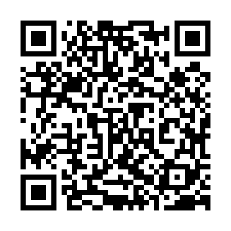 QR code for 38Z569