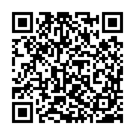 QR code for 38Z740