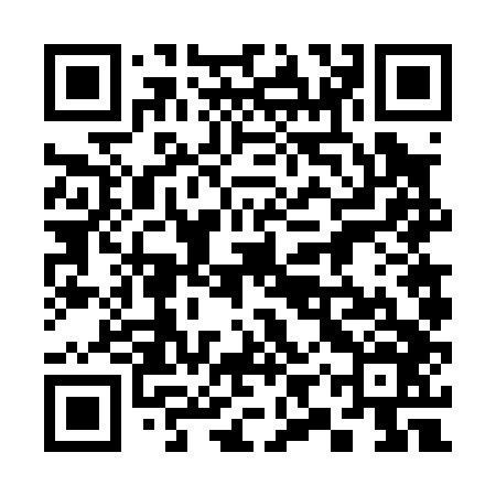 QR code for 39V046
