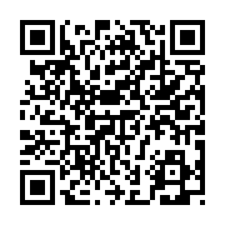 QR code for 3C0438