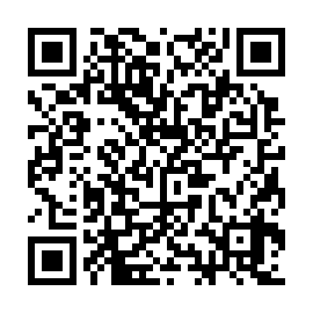 QR code for 3IC338