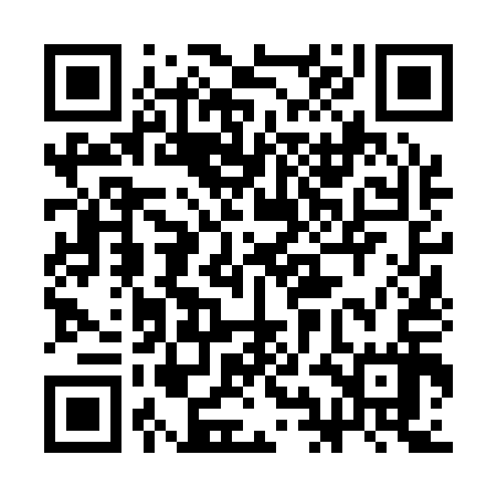 QR code for 3IN117