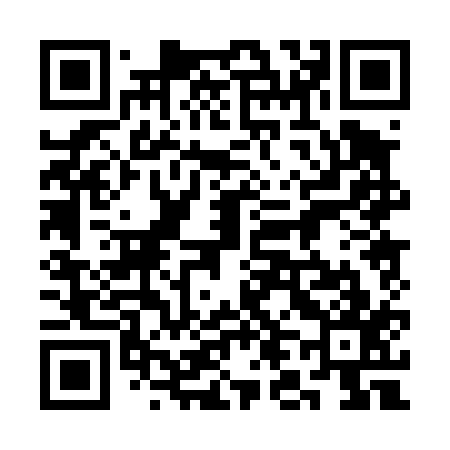 QR code for 3L0417