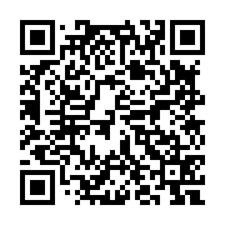 QR code for 3L3875