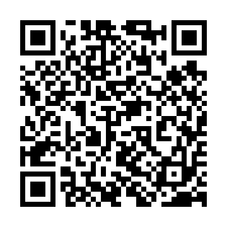 QR code for 3LS613