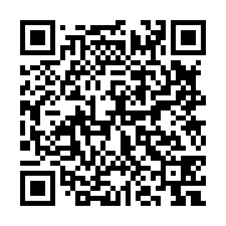 QR code for 3N3838