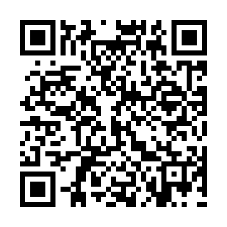 QR code for 3N9905