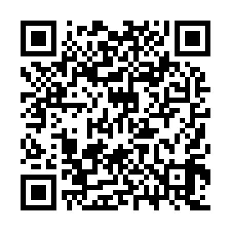 QR code for 3P0919
