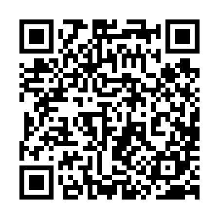 QR code for 3Q0685