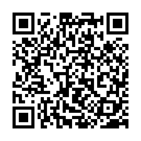 QR code for 3Q6869