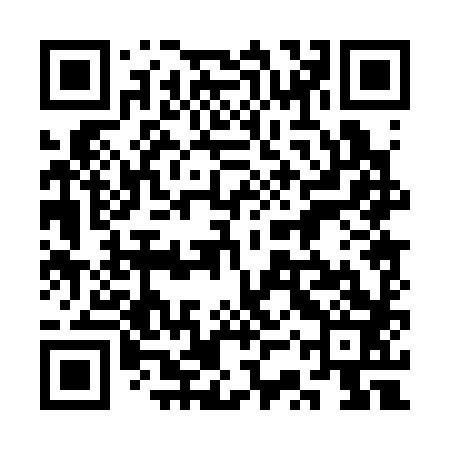 QR code for 3SP383