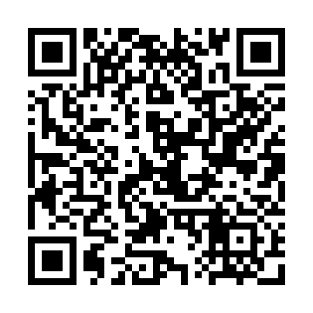 QR code for 3V0333