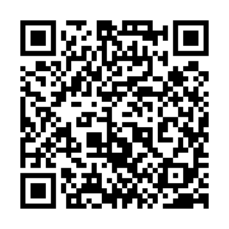 QR code for 3V9599