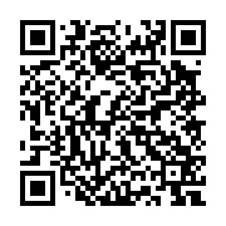QR code for 3WP063