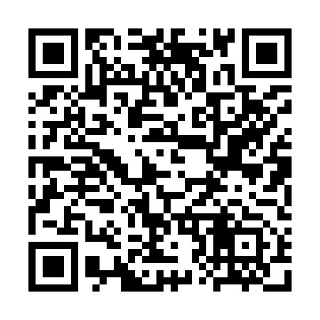 QR code for 3Z0953