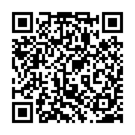 QR code for 41C295