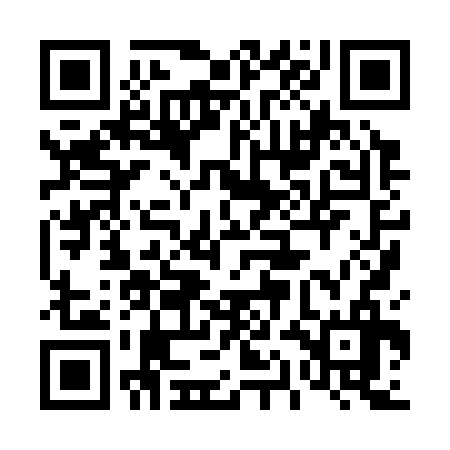 QR code for 41H336