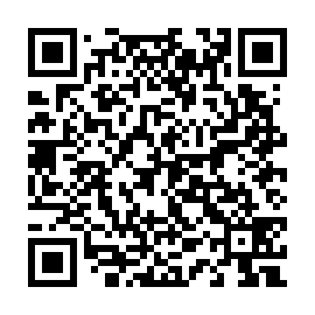 QR code for 41PG39