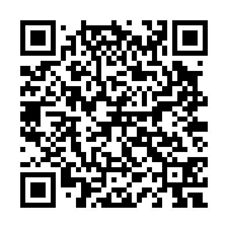 QR code for 41PP30