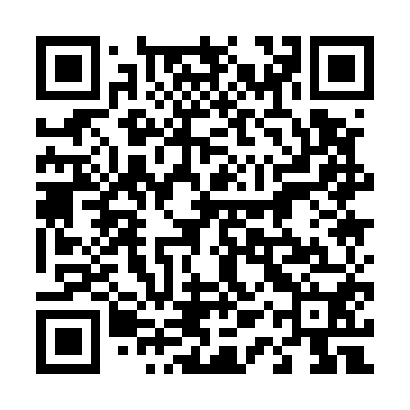 QR code for 41Q550